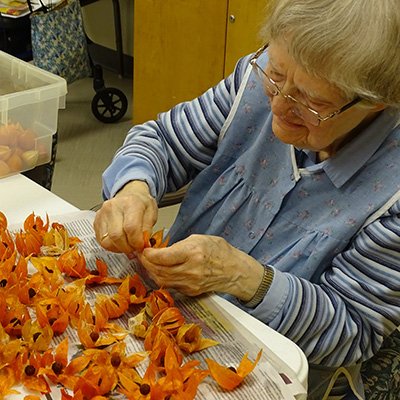 Sister Genevieve Van Driel with Chinese Lanterns